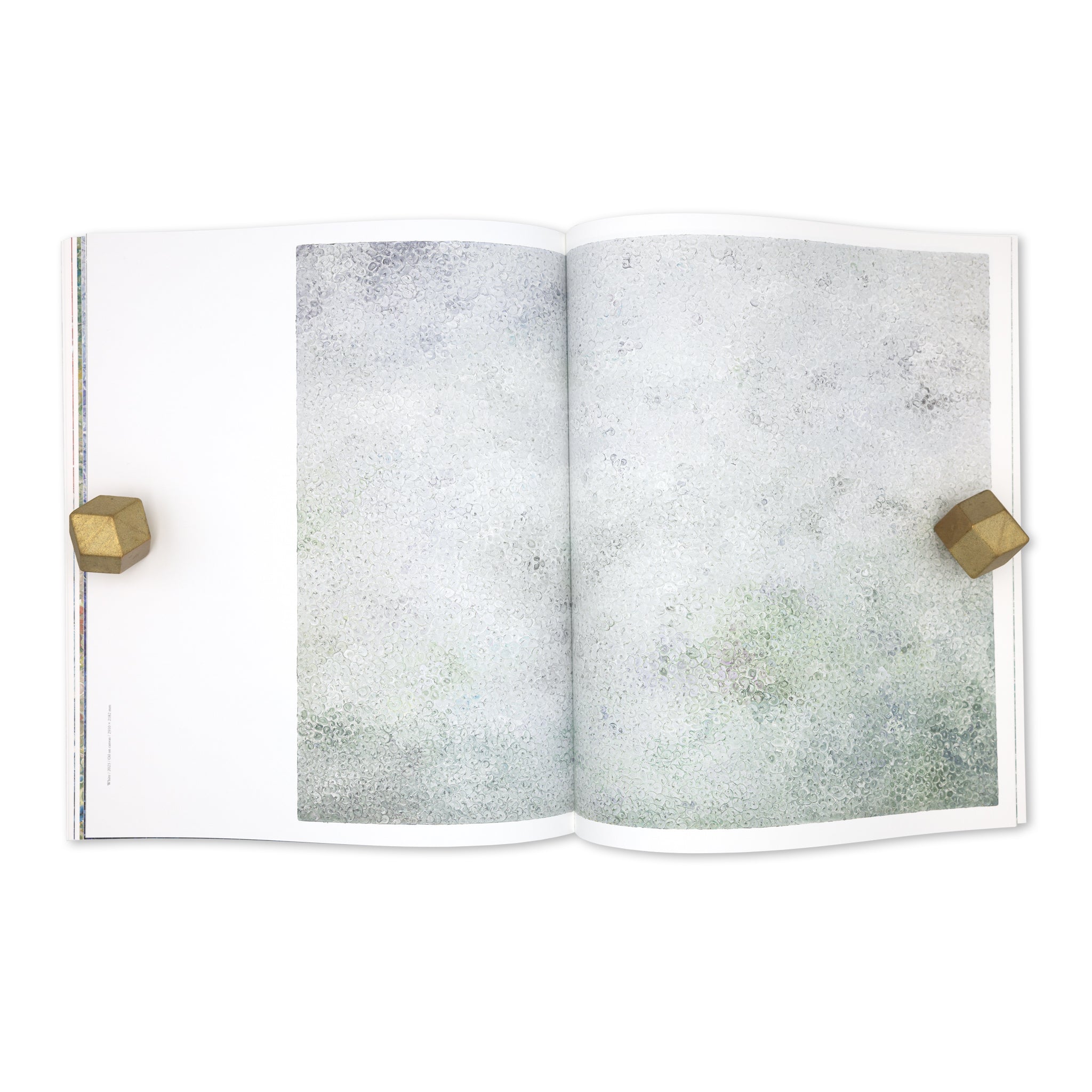 Isshin Tanisaki「Vortex」Artist Monograph