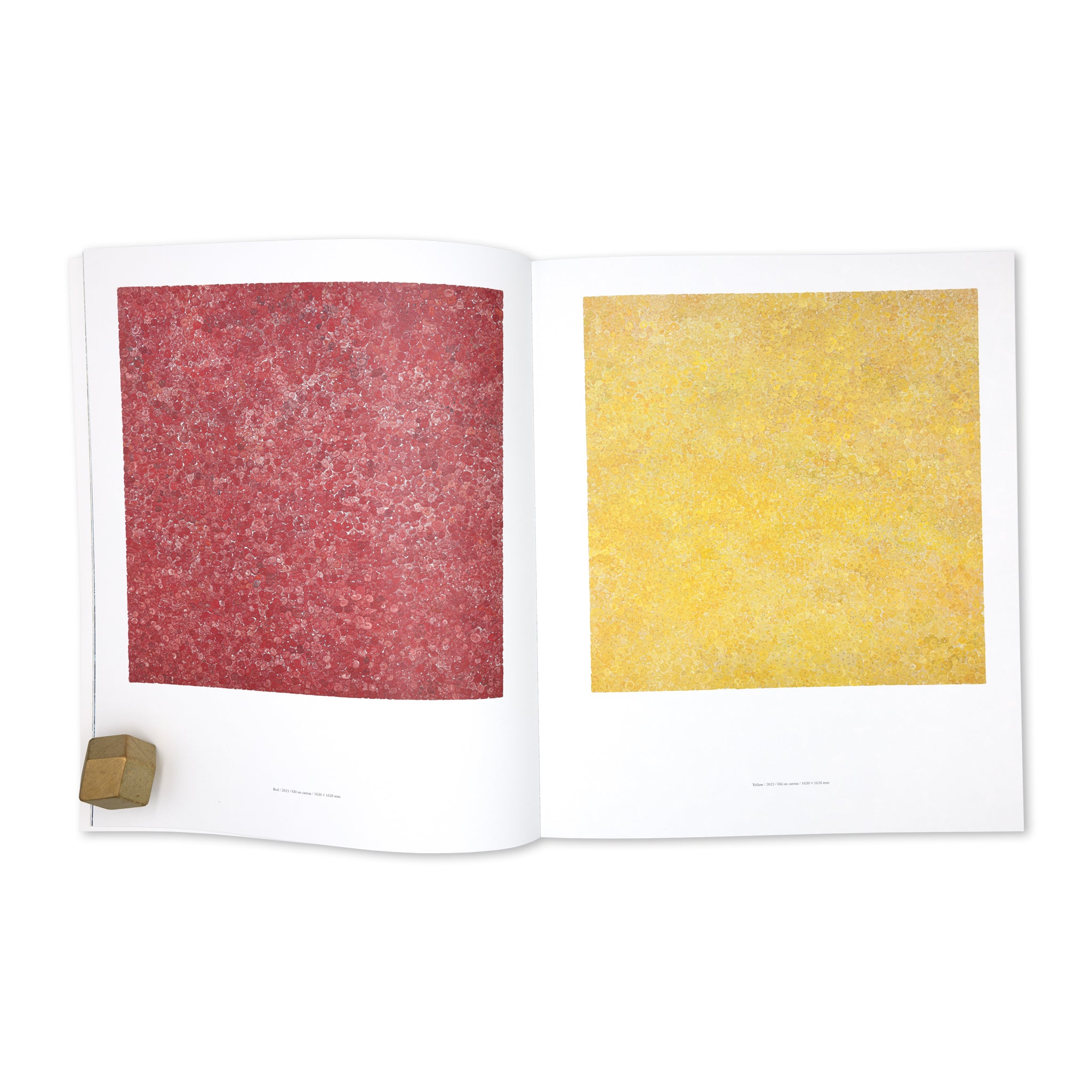 Isshin Tanisaki「Vortex」Artist Monograph