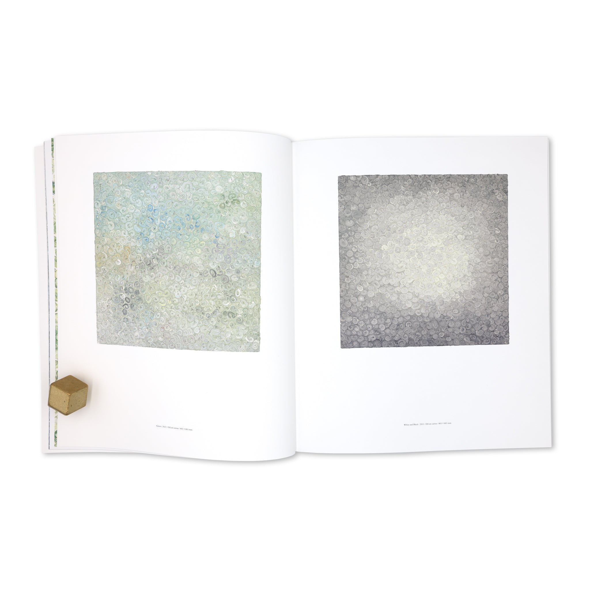 Isshin Tanisaki「Vortex」Artist Monograph