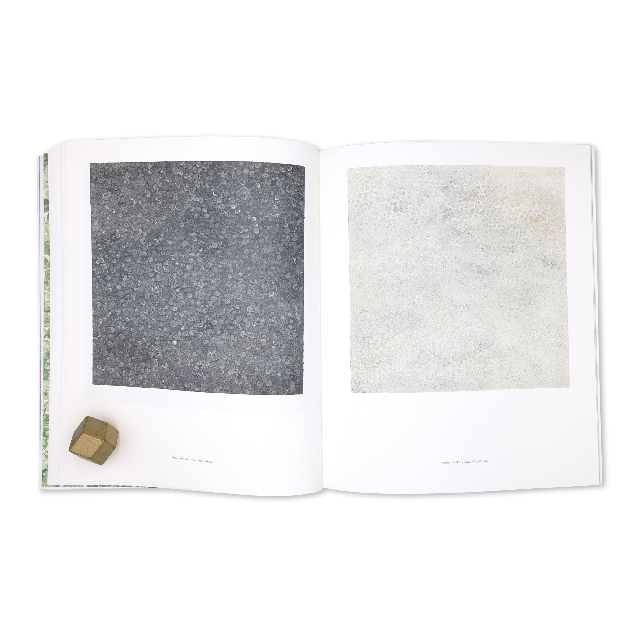 Isshin Tanisaki「Vortex」Artist Monograph