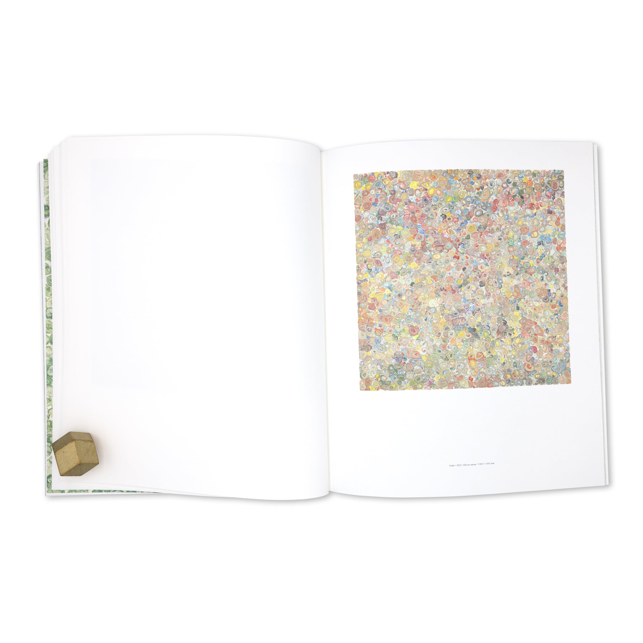 Isshin Tanisaki「Vortex」Artist Monograph