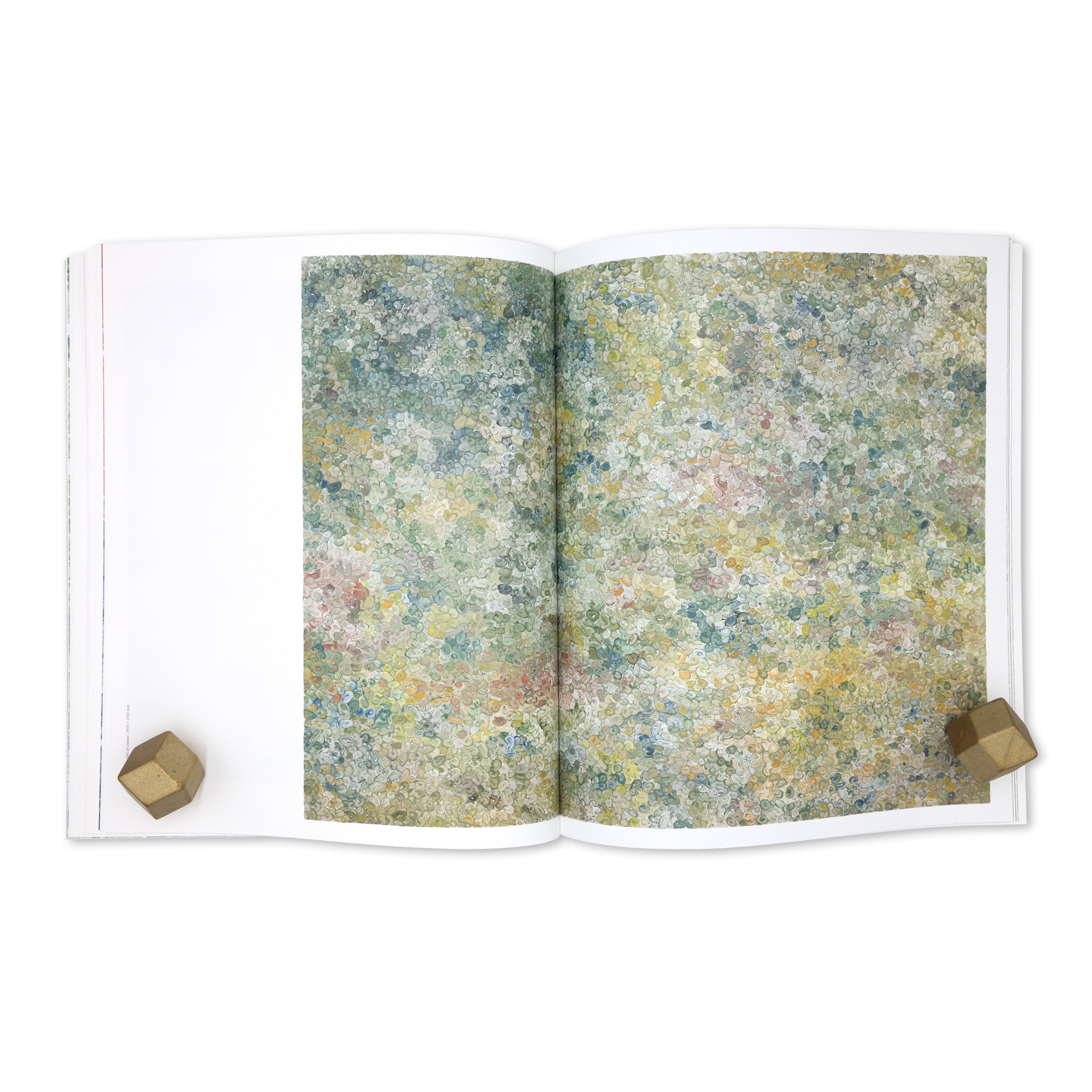 Isshin Tanisaki「Vortex」Artist Monograph