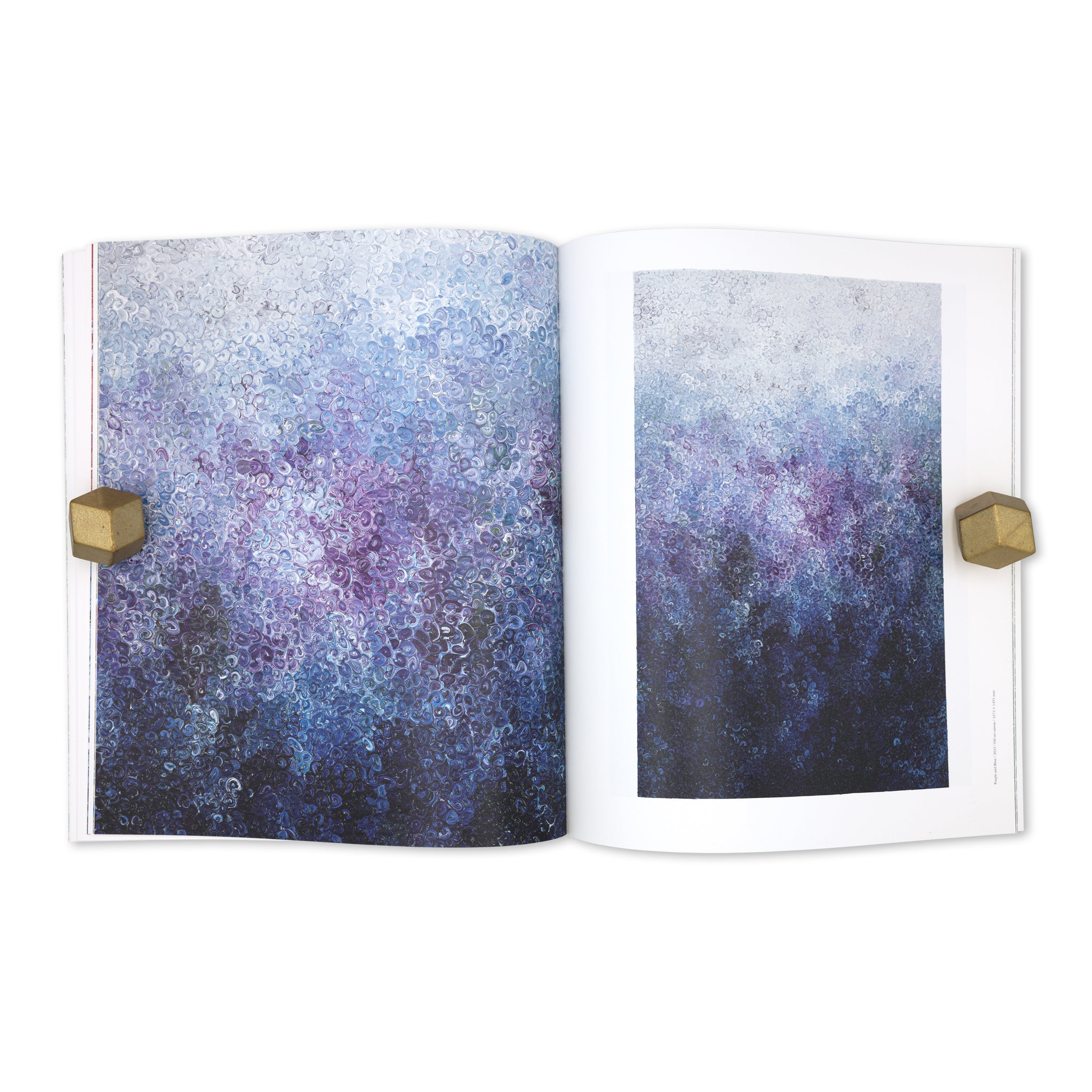 Isshin Tanisaki「Vortex」Artist Monograph