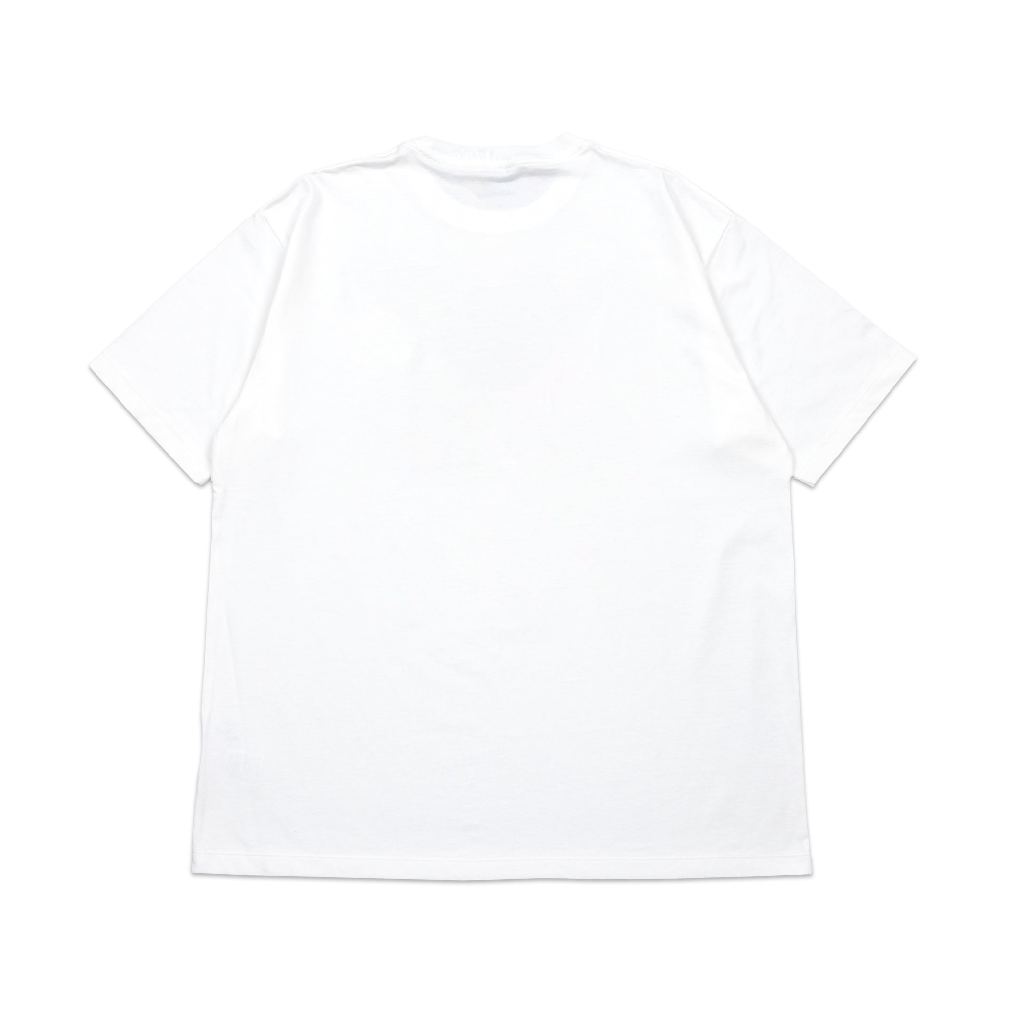 A WALK T-Shirt