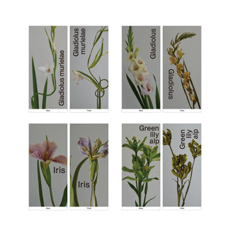 Now/Then ラベルステッカーセット（16枚入り）