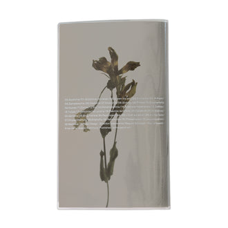 Now/Then Flower ZINE